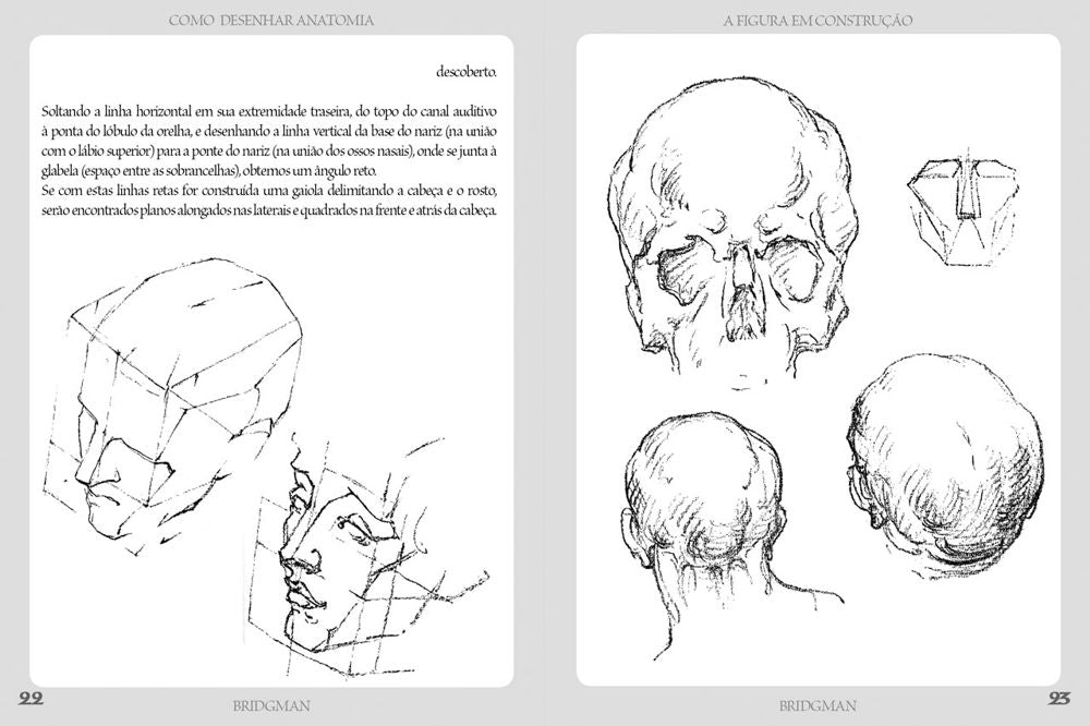 Como Desenhar Anatomia - A Figura em Construção
