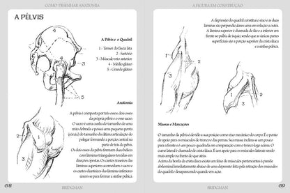 Como Desenhar Anatomia - A Figura em Construção