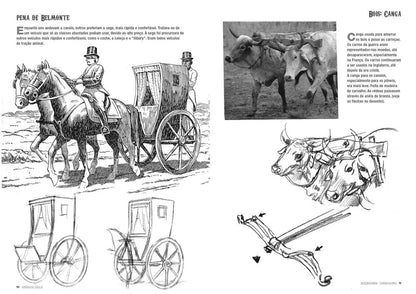 Desenhando Carruagens - Rodolfo Zalla