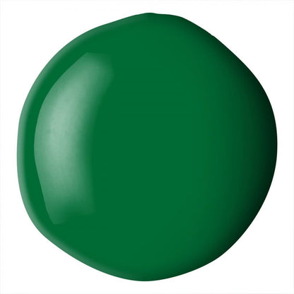 Tinta Acrílica Liquitex Basics Fluída 118ml Hookers Green Permanent Hue 