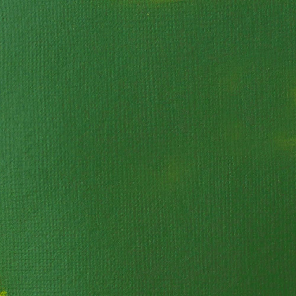 Tinta Acrílica Liquitex Basics Fluída 118ml Hookers Green Permanent Hue 