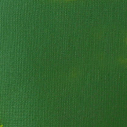 Tinta Acrílica Liquitex Basics Fluída 118ml Hookers Green Permanent Hue 