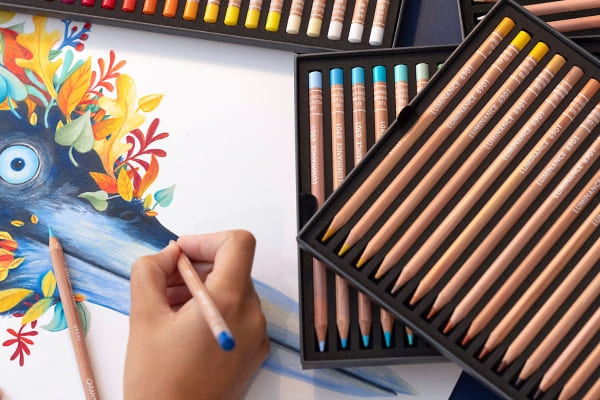 Lápis de Cor Profissional para Desenho