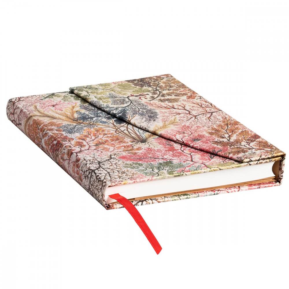 Paperblanks Anemone Capa Dura Midi Pautado