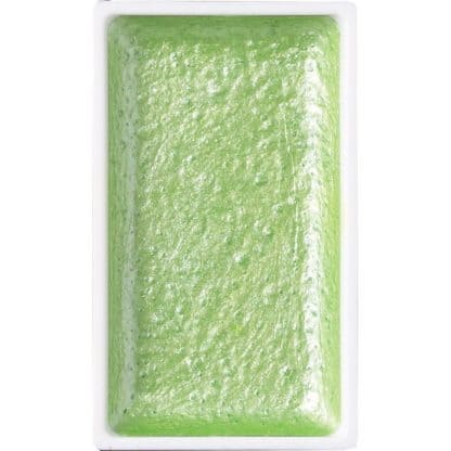 Aquarela Kuretake Gansai Tambi Pearl May Green 751