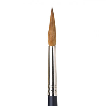 Pincel Winsor & Newton Watercolor Sable Redondo 8