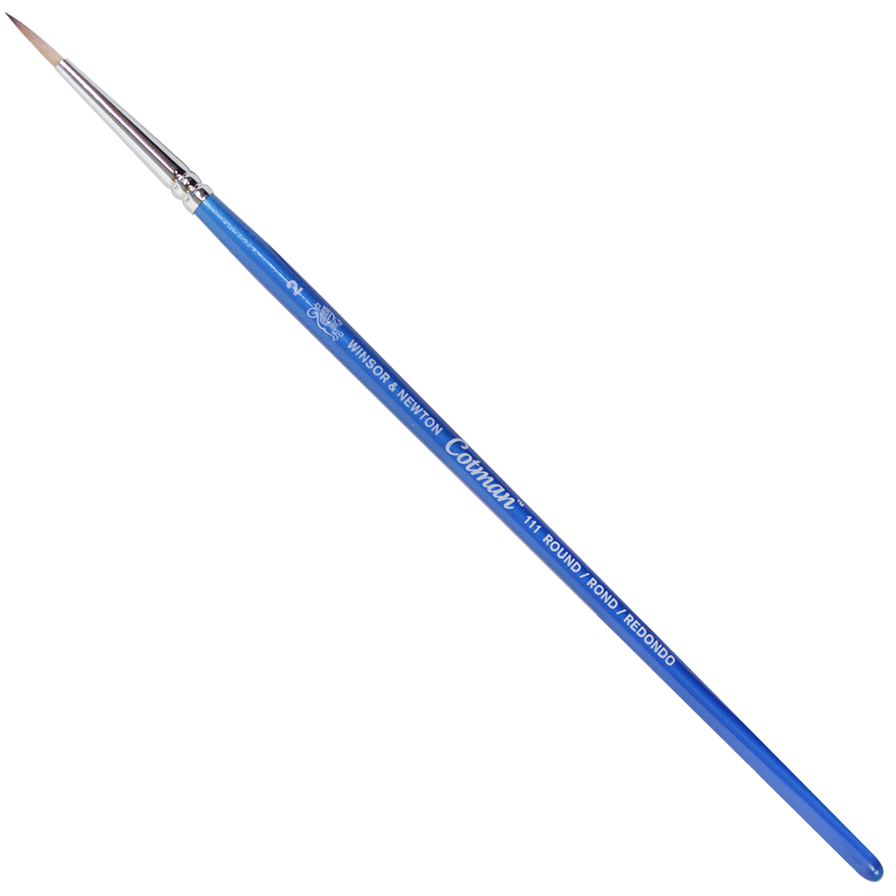 Pincel Cotman Winsor & Newton 111 2