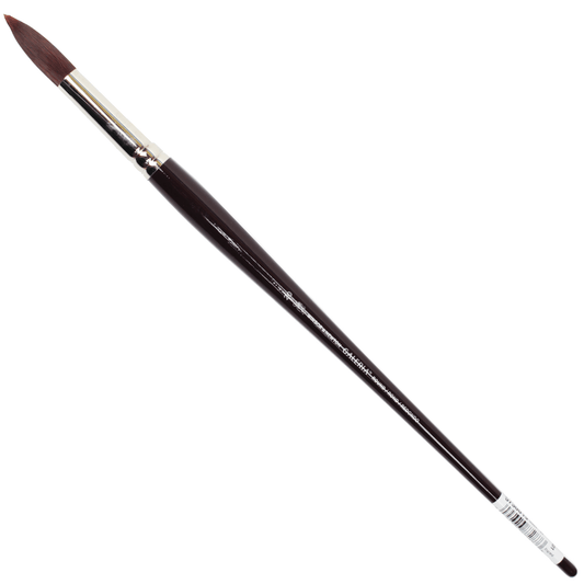 Pincel Galeria Winsor & Newton Redondo 20