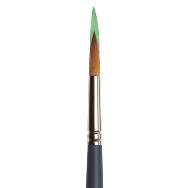 Pincel Winsor & Newton Professional Watercolor Redondo 10