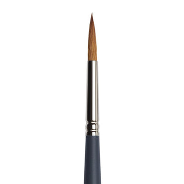 Pincel Winsor & Newton Professional Watercolor Redondo 8