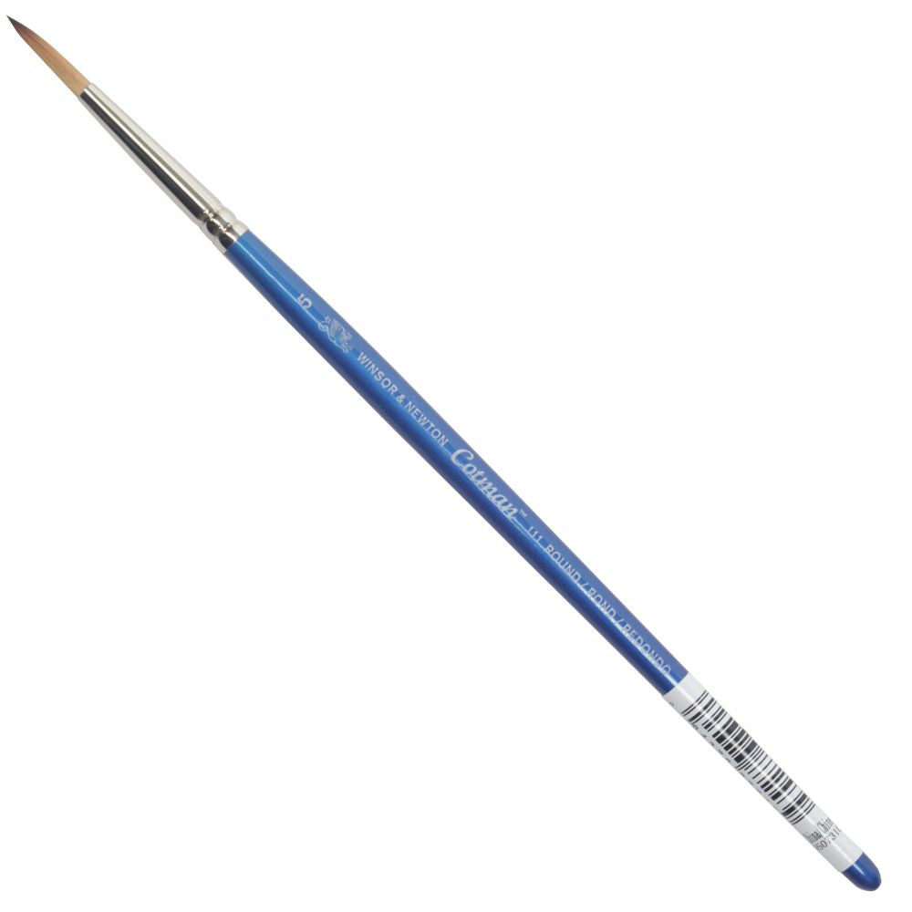 Pincel Cotman Winsor & Newton 111
