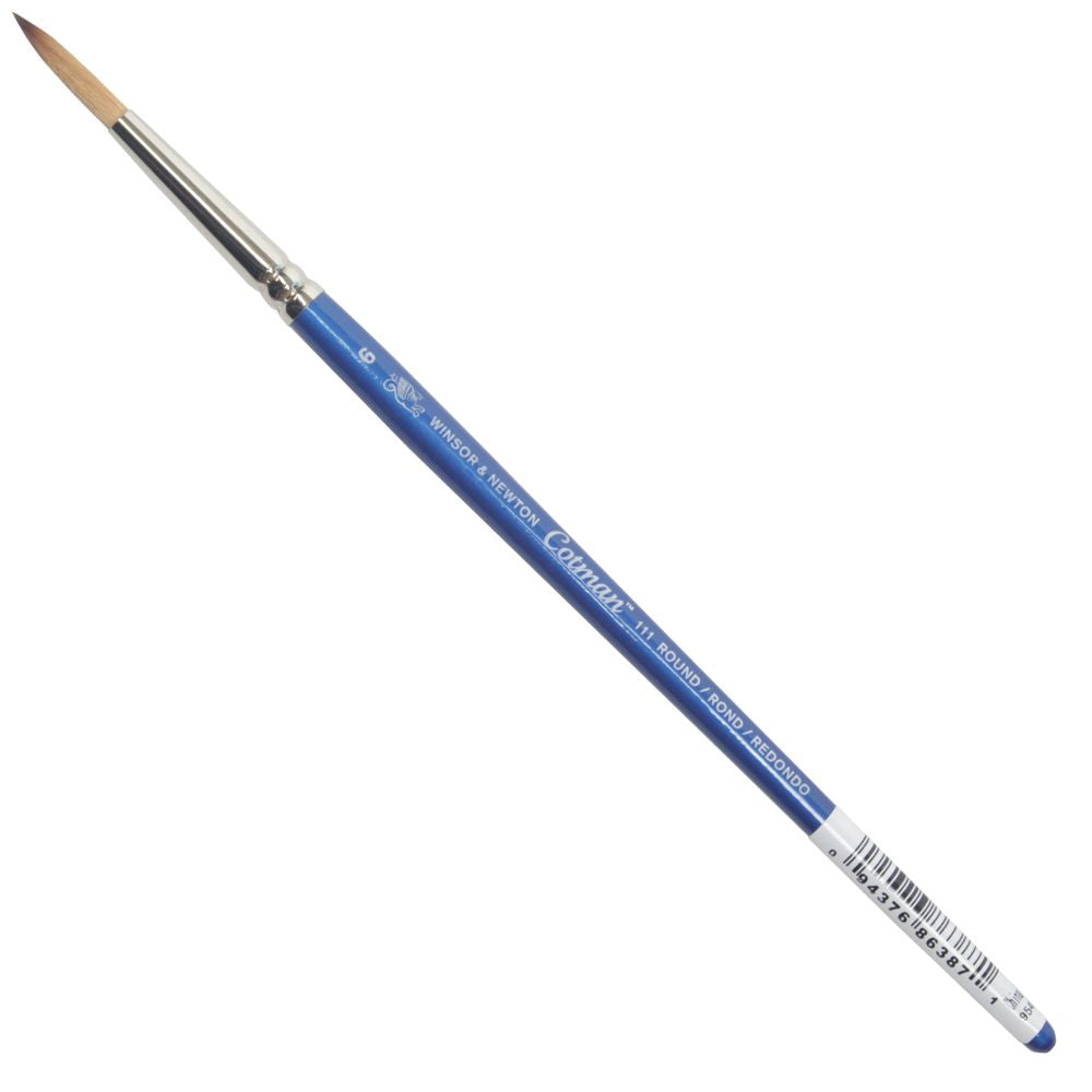 Pincel Cotman Winsor & Newton 111
