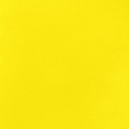 Tinta Acrílica Liquitex Basics Fluída 118ml Primary Yellow 