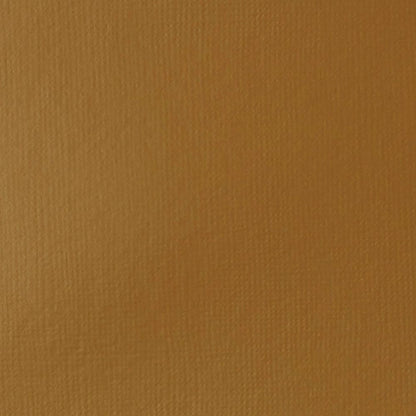 Tinta Acrílica Liquitex Basics Fluída 118ml Raw Sienna
