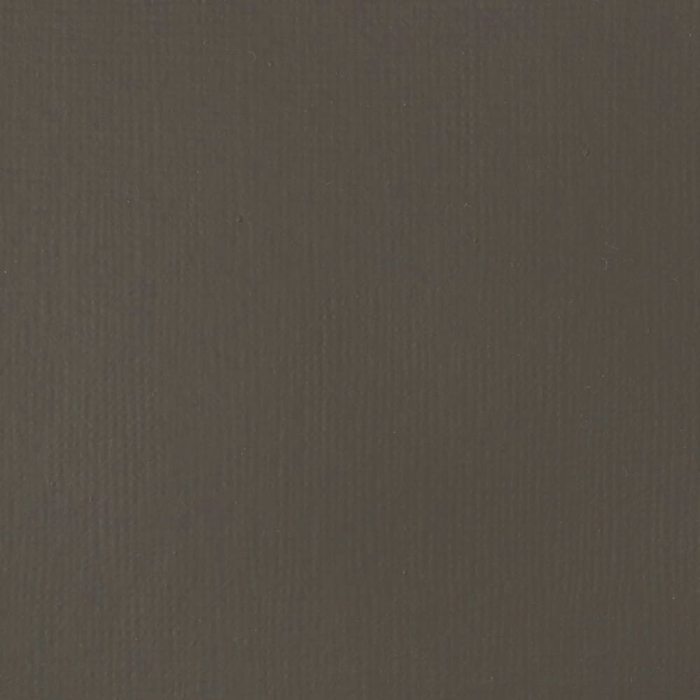Tinta Acrílica Liquitex Basics Fluída 118ml Raw Umber