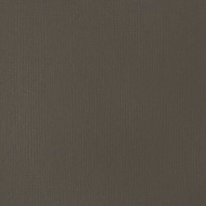Tinta Acrílica Liquitex Basics Fluída 118ml Raw Umber