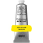 Tinta Acrílica Professional Winsor & Newton 60ml S2