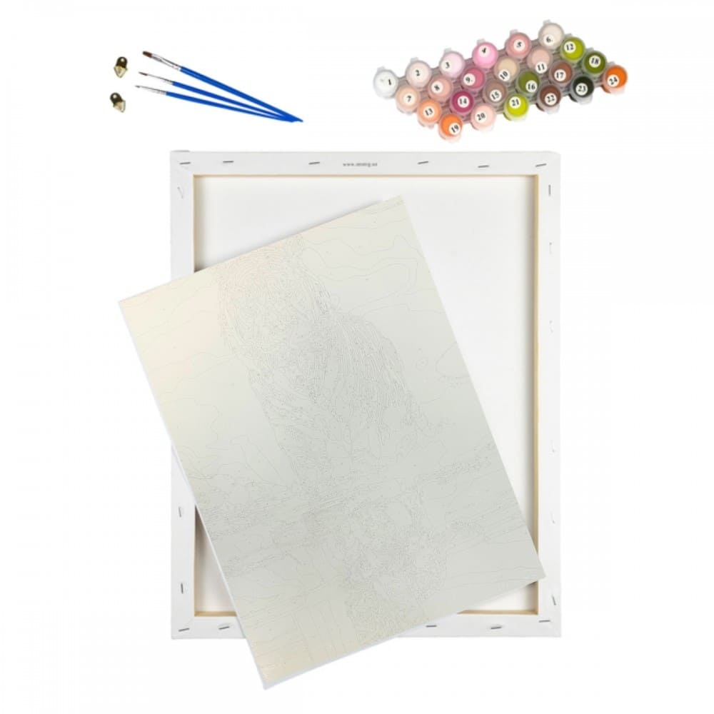 conjunto pintura numerada arte terapia 40x50cm tigre