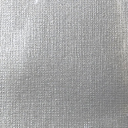 Tinta Acrílica Liquitex Soft Body 59ml S2 236 Iridescent Bright Silver