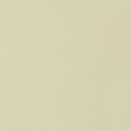 Tinta Acrílica Liquitex Soft Body 59ml S1 436 Parchment