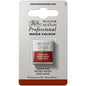Tinta Aquarela Profissional Winsor & Newton Pastilha S1