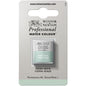Tinta Aquarela Profissional Winsor & Newton Pastilha S1