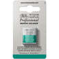 Tinta Aquarela Profissional Winsor & Newton Pastilha S1