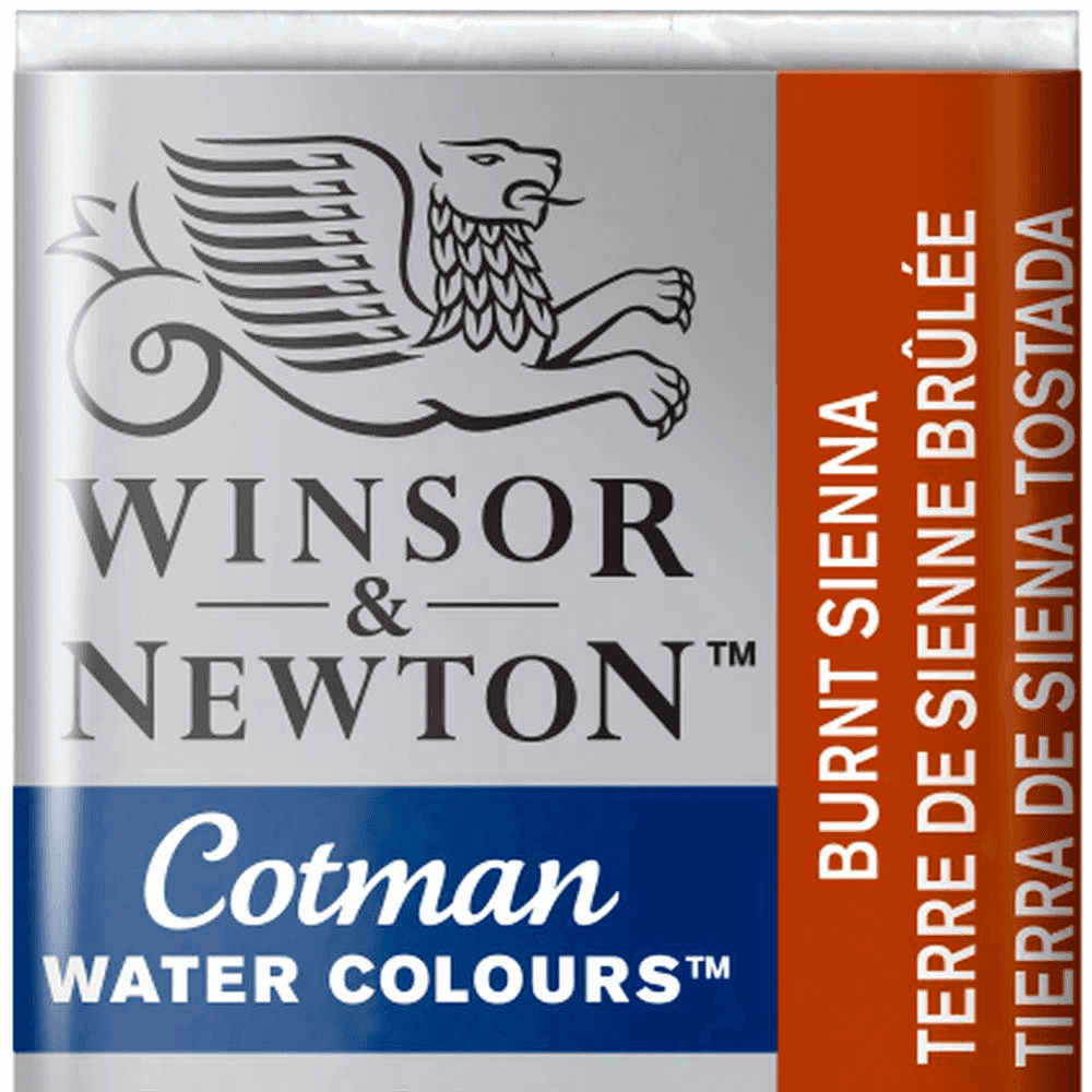 Tinta Aquarela Cotman Winsor & Newton Pastilha