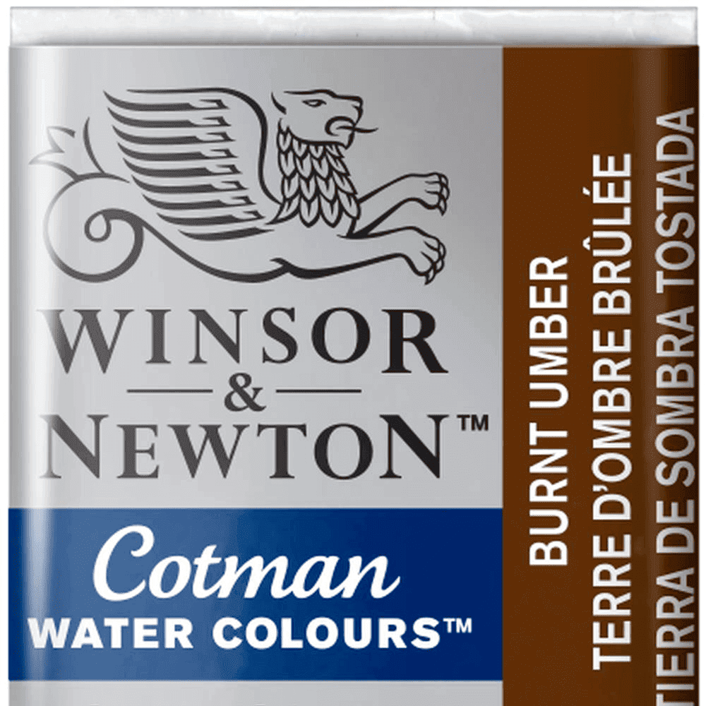 Tinta Aquarela Cotman Winsor & Newton Pastilha