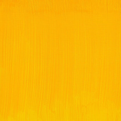 Tinta Óleo Artist 200ml Winsor & Newton S4 890 Cadmium Free Yellow 