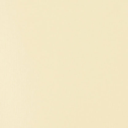 Tinta Acrílica Liquitex Basics Fluída 118ml Unbleached Titanium